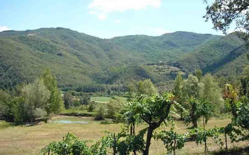 Villa Il Corniolo Morra Exterior foto
